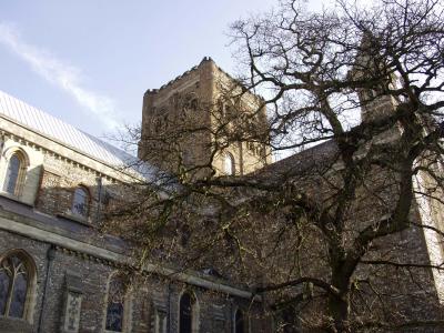 The Tower through the Tree