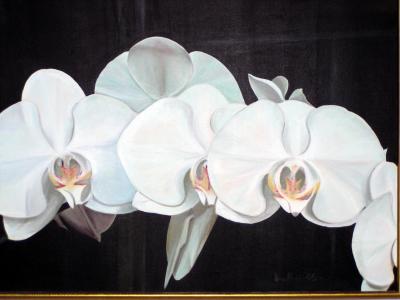 Phalaenopsis painting, Dunn-Rankin