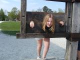 The Stocks