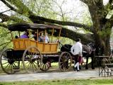 Wagon Ride