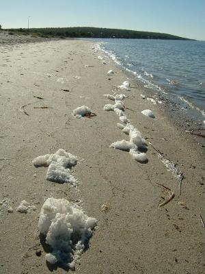 Foam Party