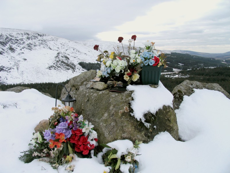  flowers in memory of motorcylist who hit this rock 
went over the edge and was  kiiled


Turlough Hill
Wicklow Mountains