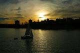Manly at sunset with yacht