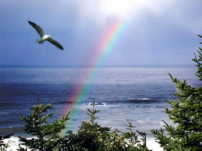 Ocean Rainbow