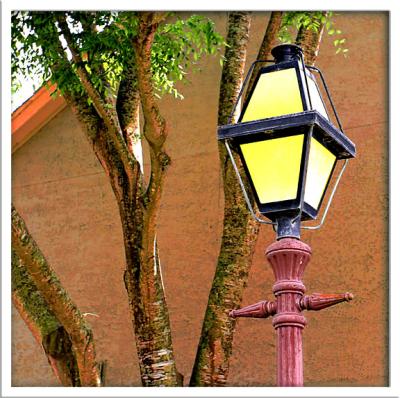 Lamps of Harbour Town