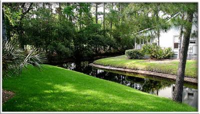 The Gater is Gone and the Lagoon is Tranquil Once More......