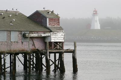 Fog in Lubic Harbor
