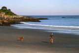 York Beach Beach Scene