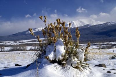 Wet Mountain Valley, Colorado