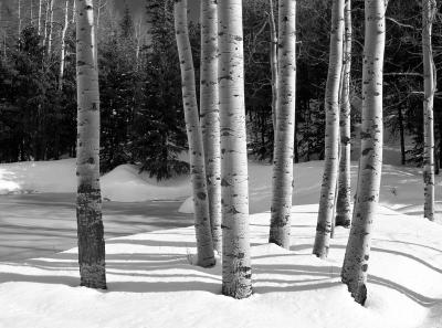Not Quite Spring Thaw