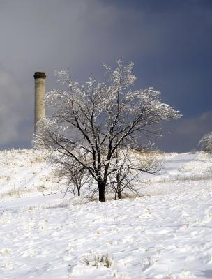Hoar Frost