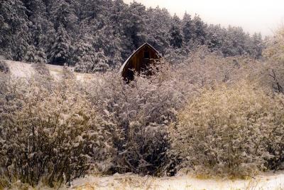 Solitary Barn