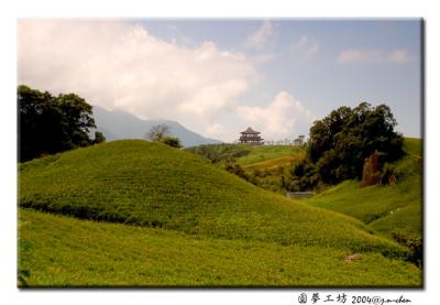 DSC_0475.jpg