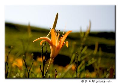 DSC_0451.jpg