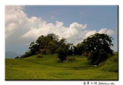 DSC_0477.jpg