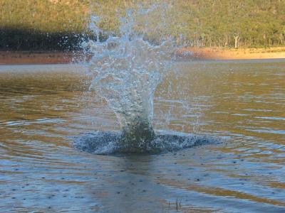 IMG_9549.JPG