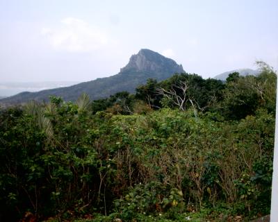 S1010045.JPG