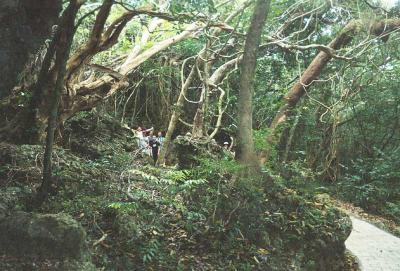 R002-003.jpg