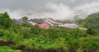 Ching Jing Farm06.JPG