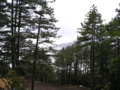 Dayuling01.JPG