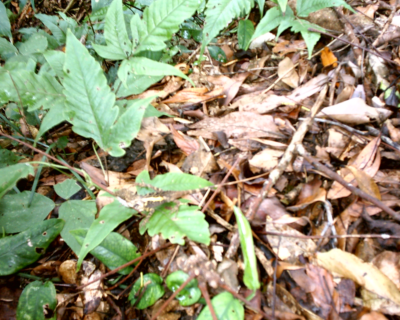 S1010054.JPG