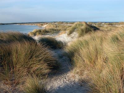 A view from the sand dunes