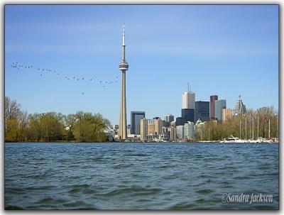 Toronto from the water