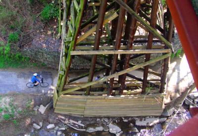 A cyclist rides along the Rock Creek Park Trail, below the Crescent Trail