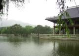 seoul palace.jpg