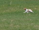 romeo_0601