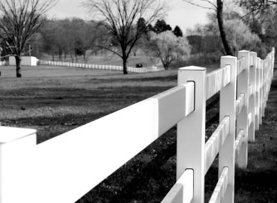 Fence Lines