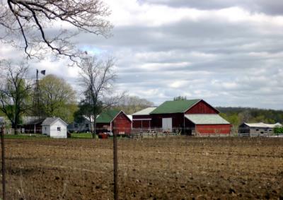 Pastoral