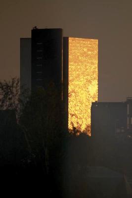 Naturalis (Dutch National Museum of Natural History), set in the golden light of a summer sunset.