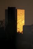 Naturalis (Dutch National Museum of Natural History), set in the golden light of a summer sunset.