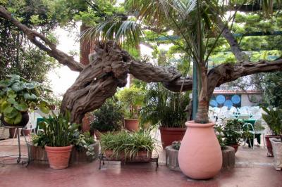 Hotel Aequa , Vico Equense