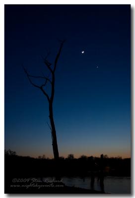 Moon & Venus III