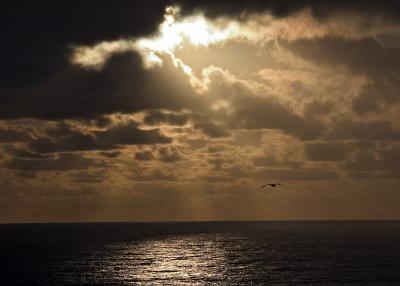 CRW_6502.jpg