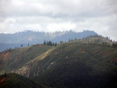 East of Groveland