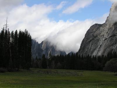 Yosemite Meadow