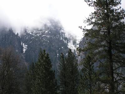 Yosemite Mist