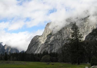 Yosemite View