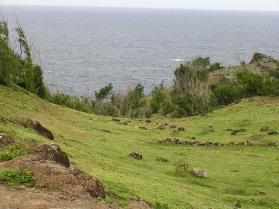 Coastal Drive