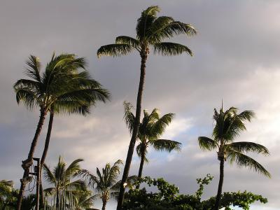 hawaii_2004