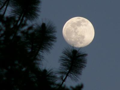Moon (May 3rd)