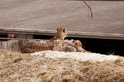 DSC_5979_web.JPG