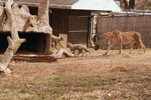 DSC_6061_web.JPG