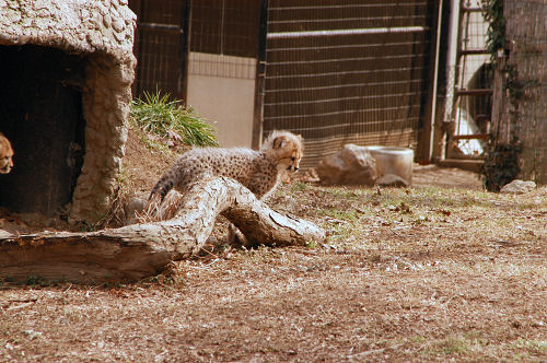 DSC_6085_web.JPG