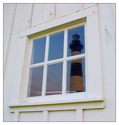 Bodie at Window
