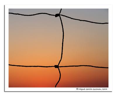 Color Strings* by Miguel Garcia-Guzman