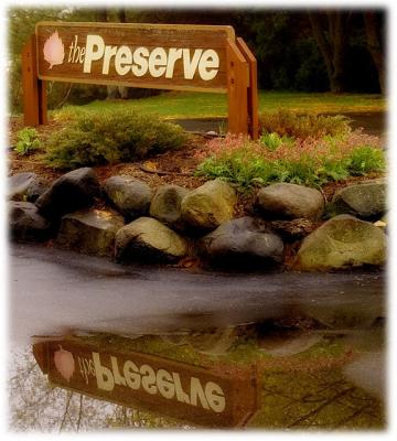 The Preserve * by Katherine Kenison